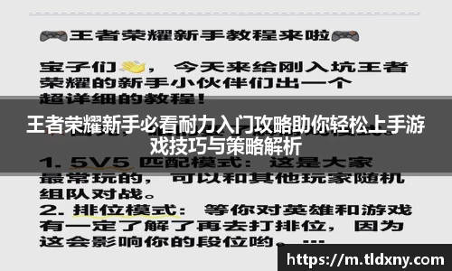 vsport体育官网入口