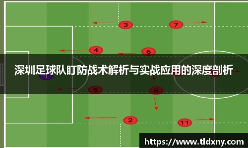 深圳足球队盯防战术解析与实战应用的深度剖析